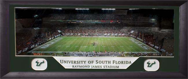 Usf Stadium